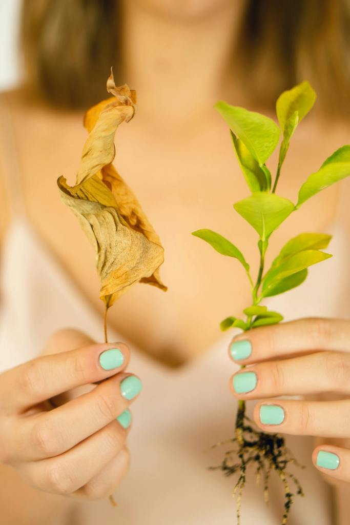 woman holding plants